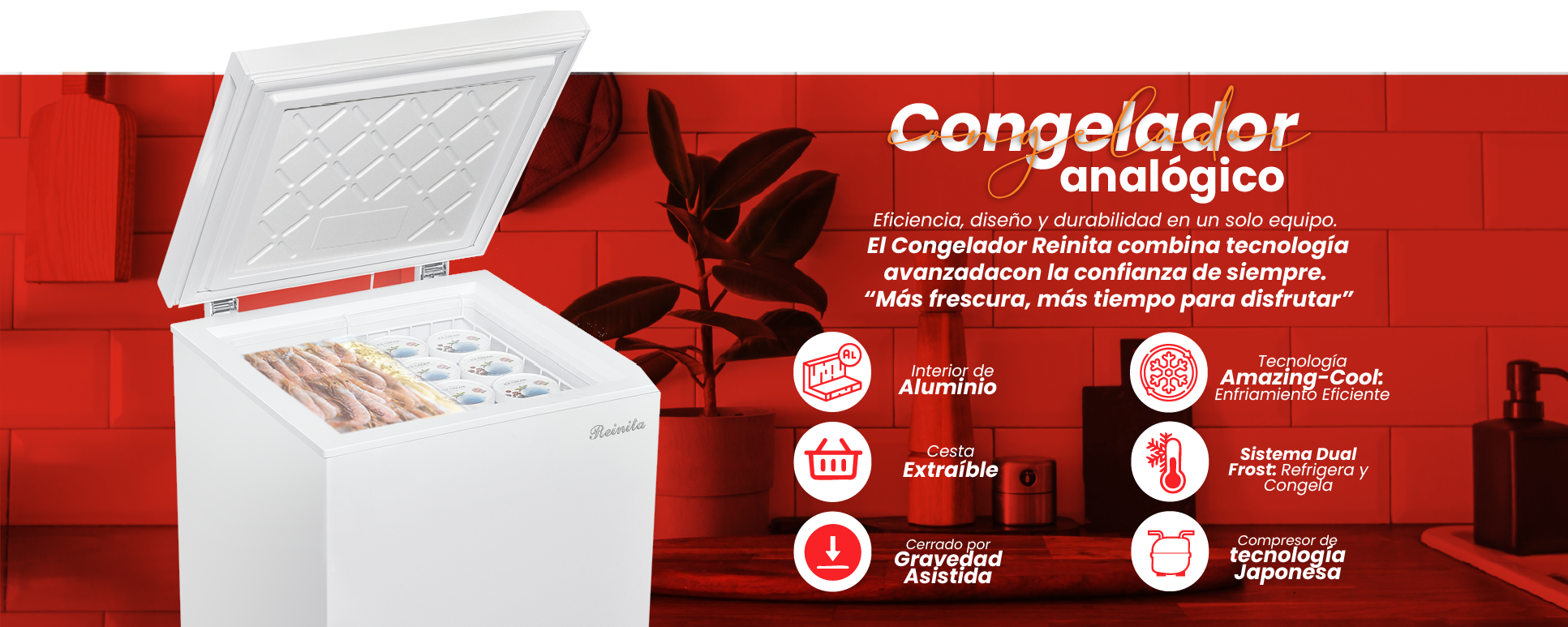 Reinita - Congelador RE01B001